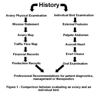 Traffic Flow Map