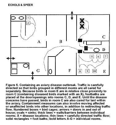 Aviary traffic map indicating containment of sick or exposed birds