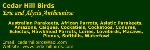 cedarhillbirds.com