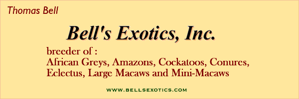 www.bellsexotics.com