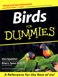 Birds for Dummies