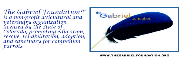 The Gabriel Foundation