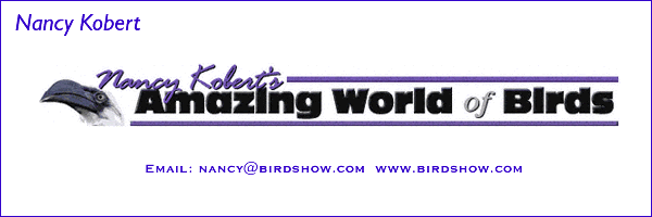 Nancy Kobert at birdshow.com