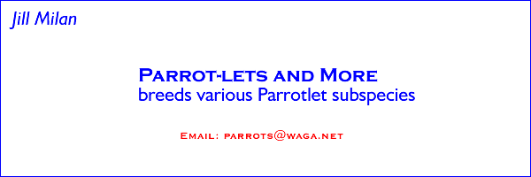 Parrot-lets and More